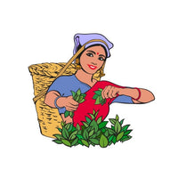 Traditional Processing